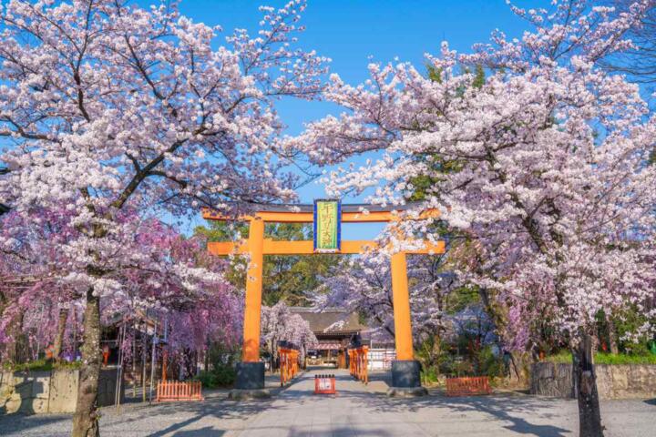 What to Know Before Visiting a Seasonal Destination